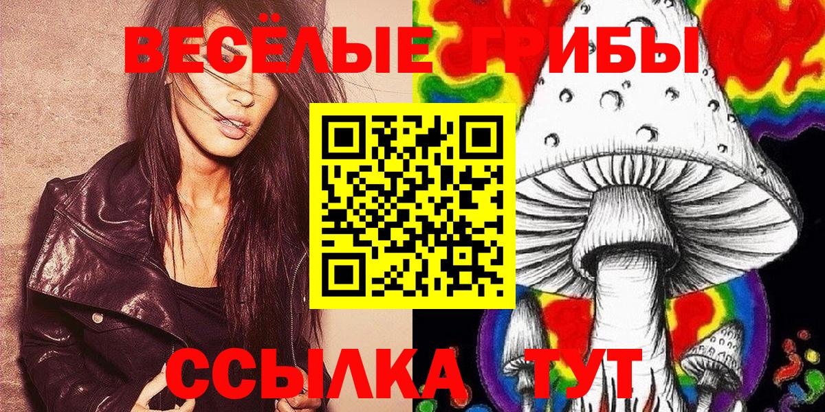 Галлюциногенные грибы мицелий Красный Сулин
