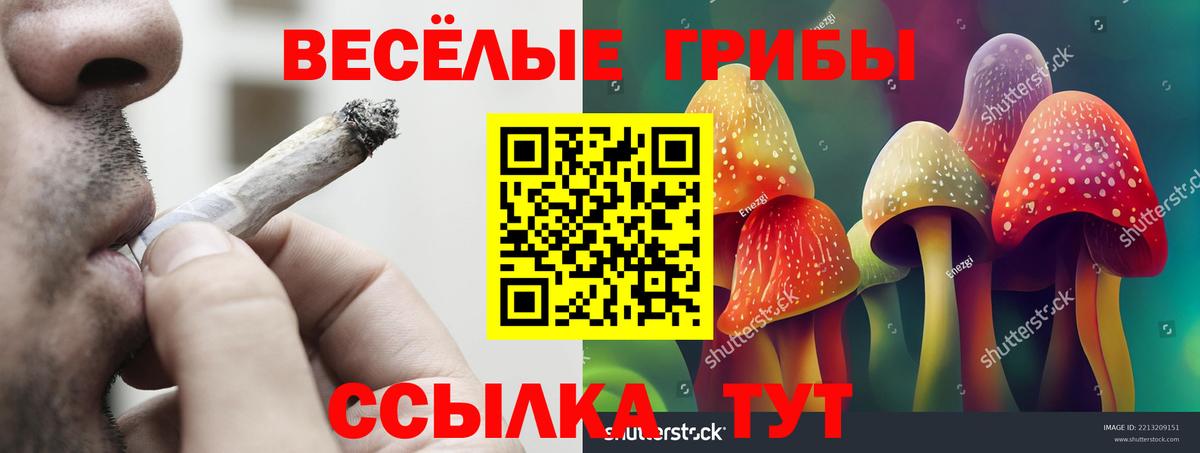 Псилоцибиновые грибы мицелий  Галлюциногенные грибы Magic Shrooms  купить наркотики цена  Красный Сулин  Вход с VPN 